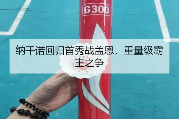 纳干诺回归首秀战盖恩，重量级霸主之争