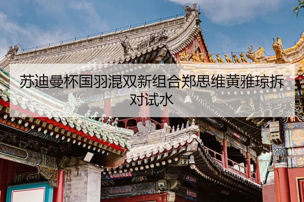 苏迪曼杯国羽混双新组合郑思维黄雅琼拆对试水